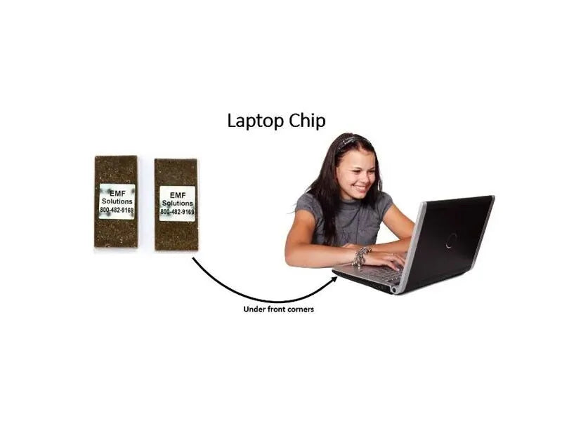 Laptop Chip